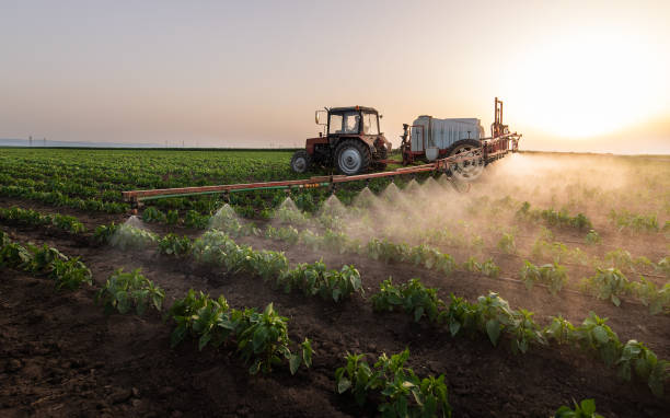 Best Pest Inspection Near Me  in Wetherington, OH