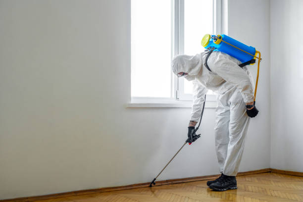 Best Mosquito Control Services  in Wetherington, OH