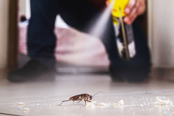 Best Local Pest Control Services  in Wetherington, OH