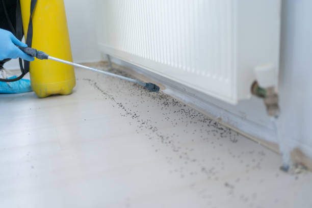 Trusted Wetherington, OH Pest Control Experts
