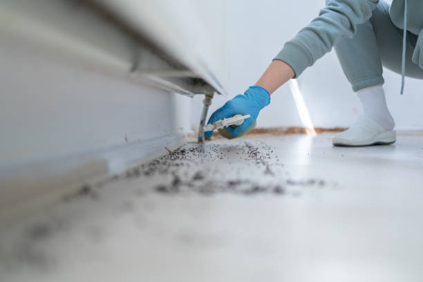 Best Affordable Pest Control Services  in Wetherington, OH