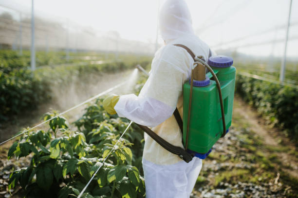 Best Exterminator Services  in Wetherington, OH